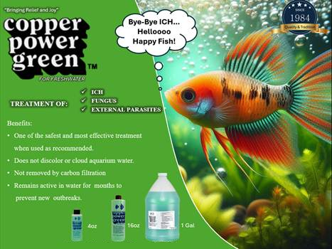 Copper Power Green for Freshwater 1 Gallon