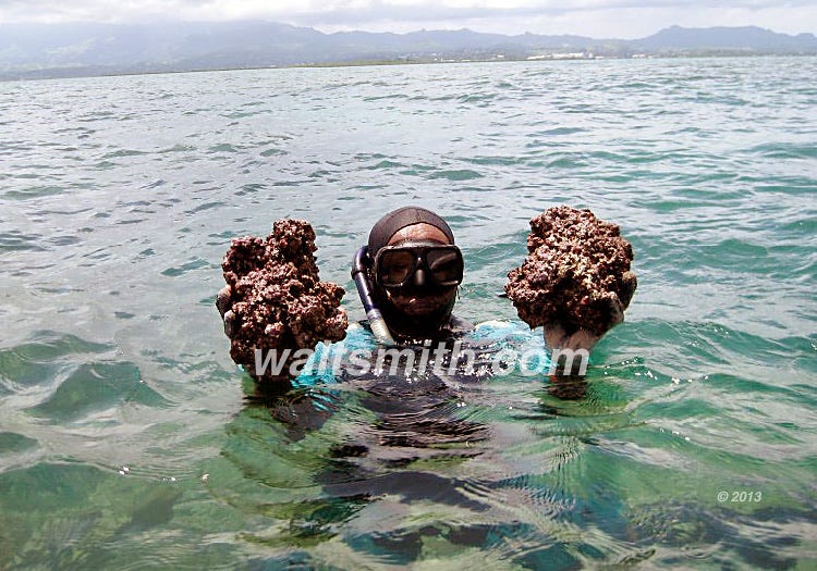 WALT SMITH FIJI REEFROCK 2.0 LIVE ROCK - MAN MADE | LARGE - 46LBS
