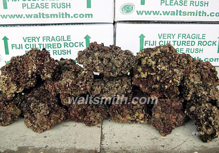 WALT SMITH FIJI REEFROCK 2.0 LIVE ROCK - MAN MADE | MEDIUM - 46LBS