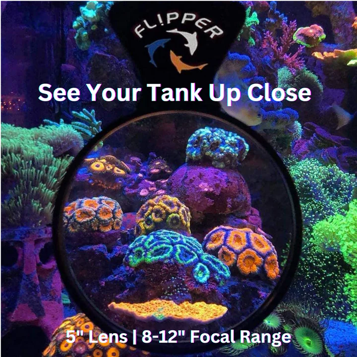 Flipper Deep See Magnetic Aquarium Viewer 5" MAX