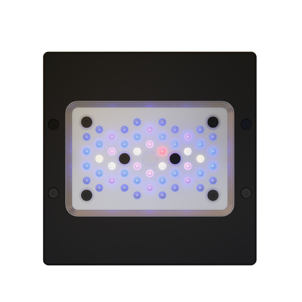 EcoTech Marine Radion XR15w Blue G6