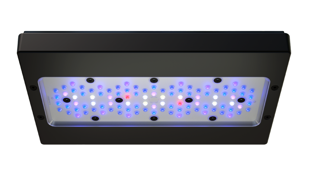 EcoTech Marine Radion XR30w Blue G6