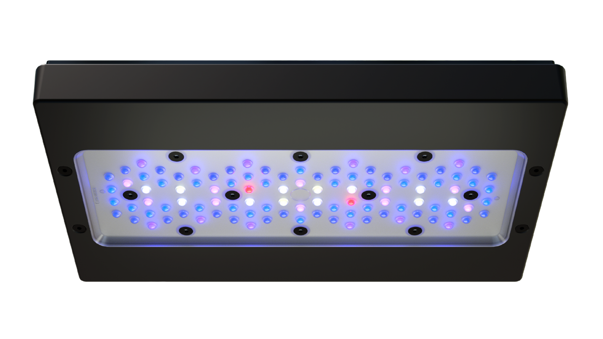 EcoTech Marine Radion XR30w Blue G6