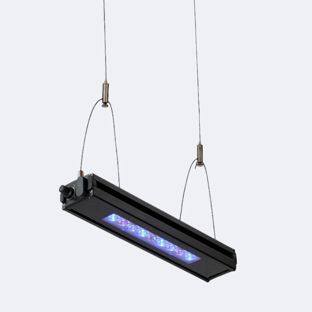 ReefBreeders Meridian Edge 12 UV/Blue Hybrid LED App & Manual Control