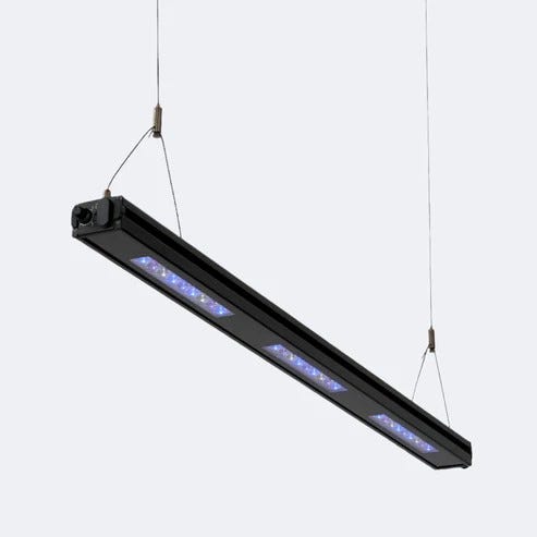 ReefBreeders Meridian Edge 35 UV/Blue Hybrid LED App & Manual Control