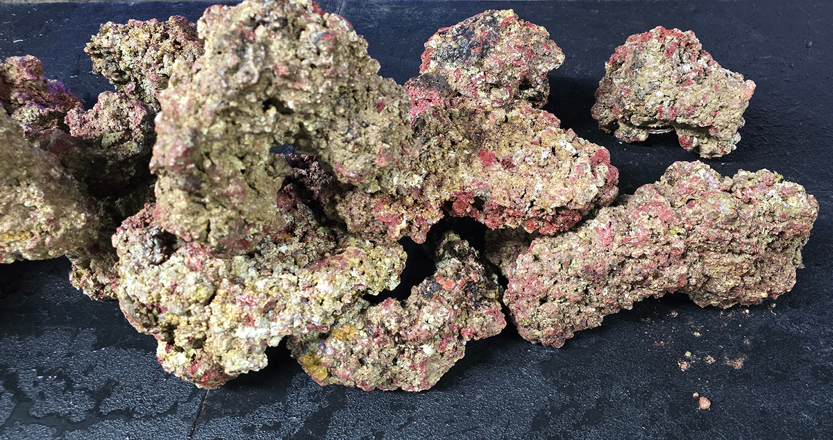 WALT SMITH FIJI REEFROCK 2.0 LIVE ROCK - MAN MADE | MEDIUM - 46LBS