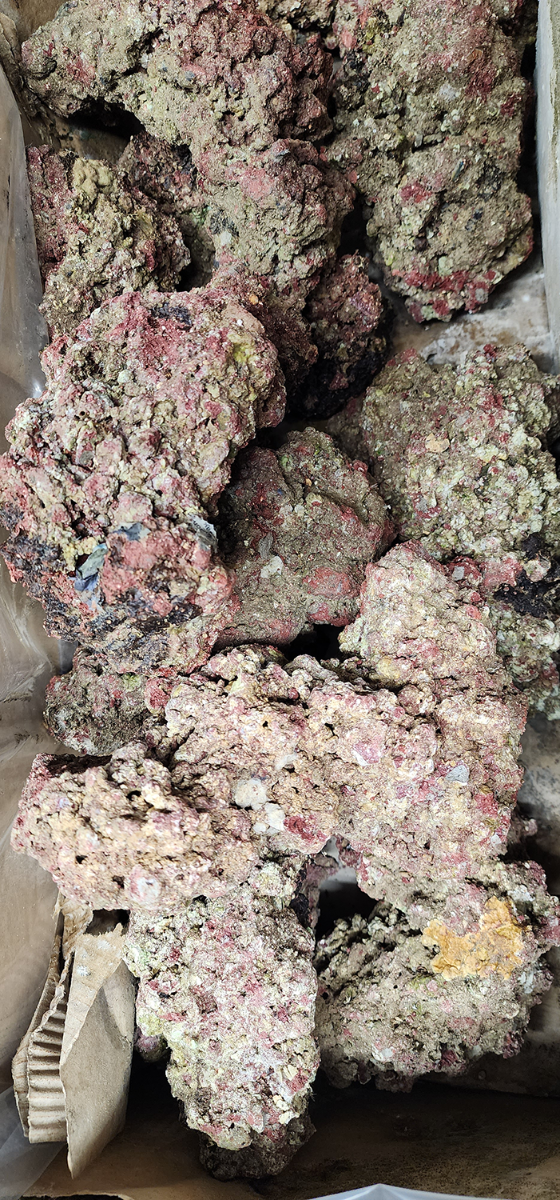 WALT SMITH FIJI REEFROCK 2.0 LIVE ROCK - MAN MADE | MEDIUM - 46LBS