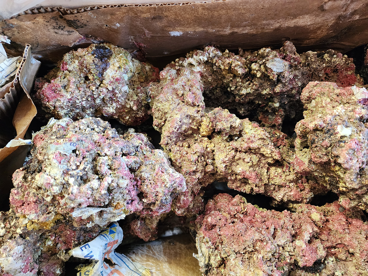 WALT SMITH FIJI REEFROCK 2.0 LIVE ROCK - MAN MADE | LARGE - 46LBS