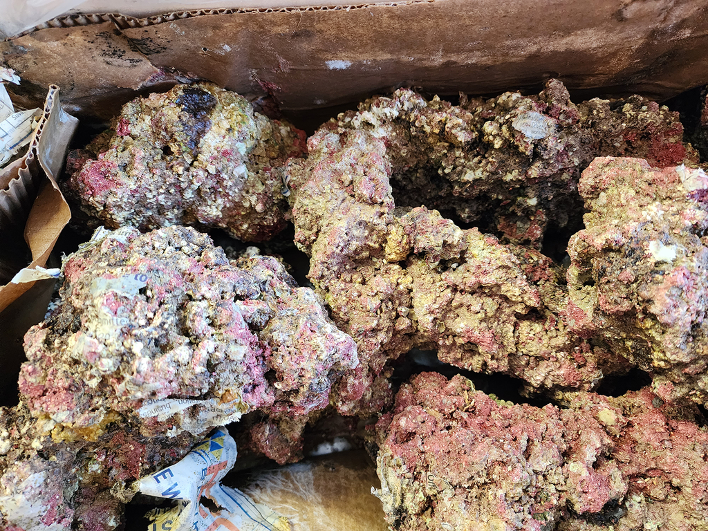 WALT SMITH FIJI REEFROCK 2.0 LIVE ROCK - MAN MADE | MEDIUM - 46LBS