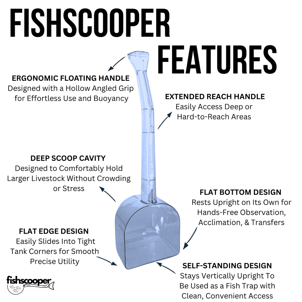 FishScooper