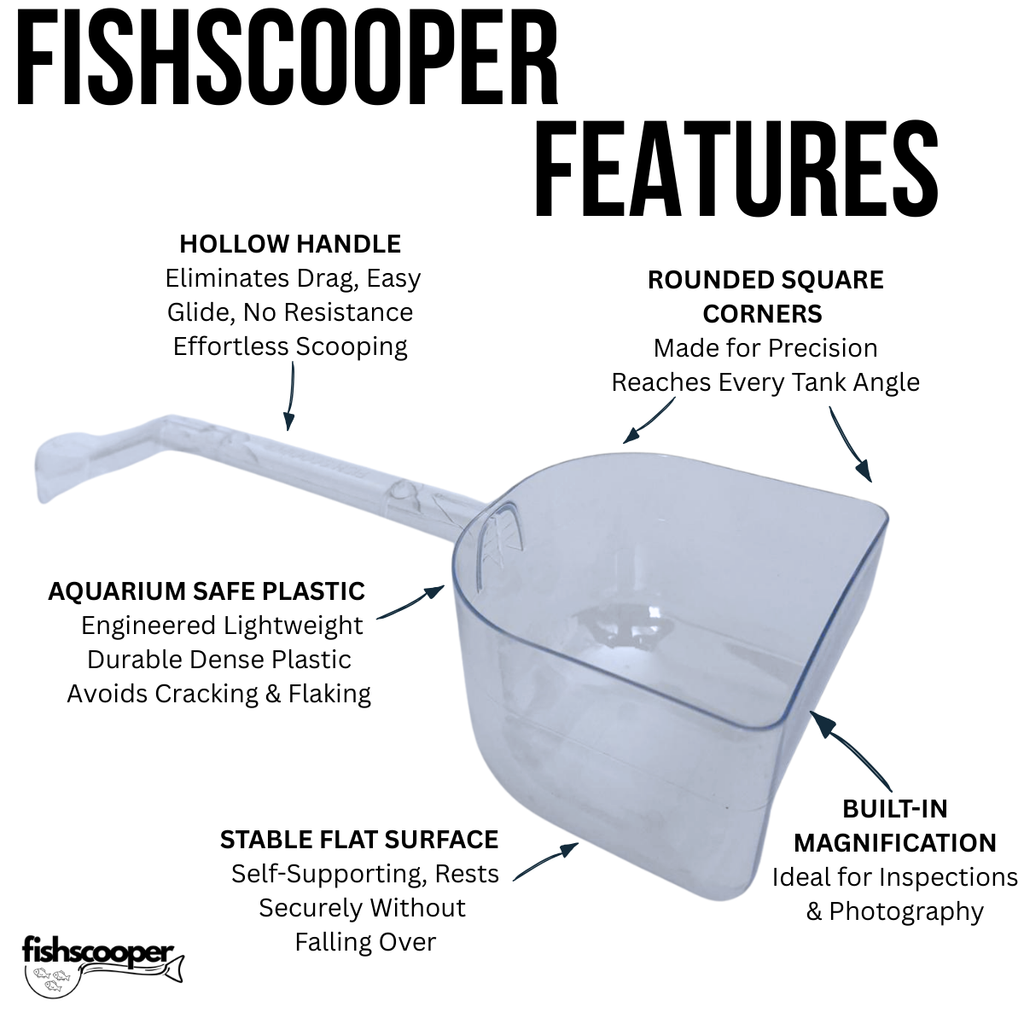 FishScooper