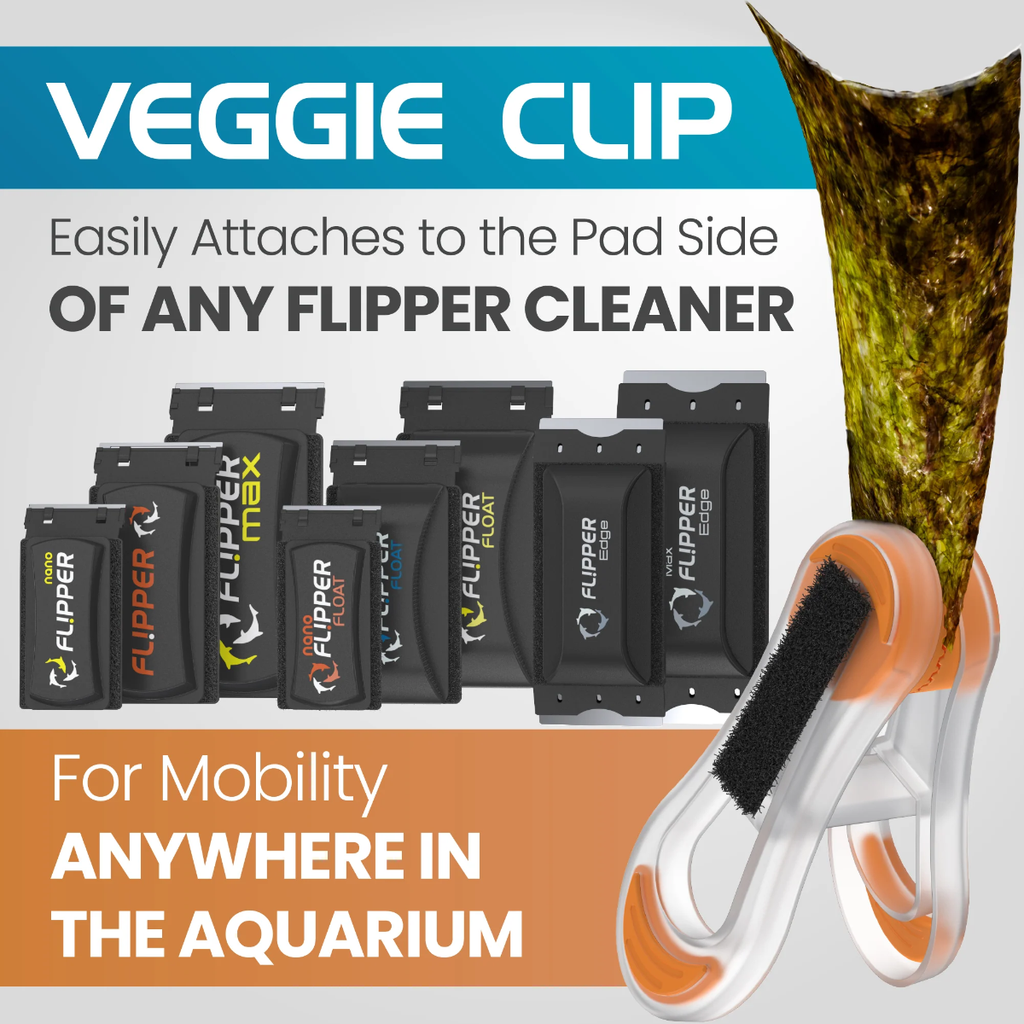 Flipper Feed Feeding Kit