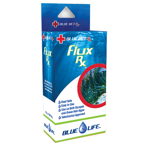 /images/fluxrx.png
