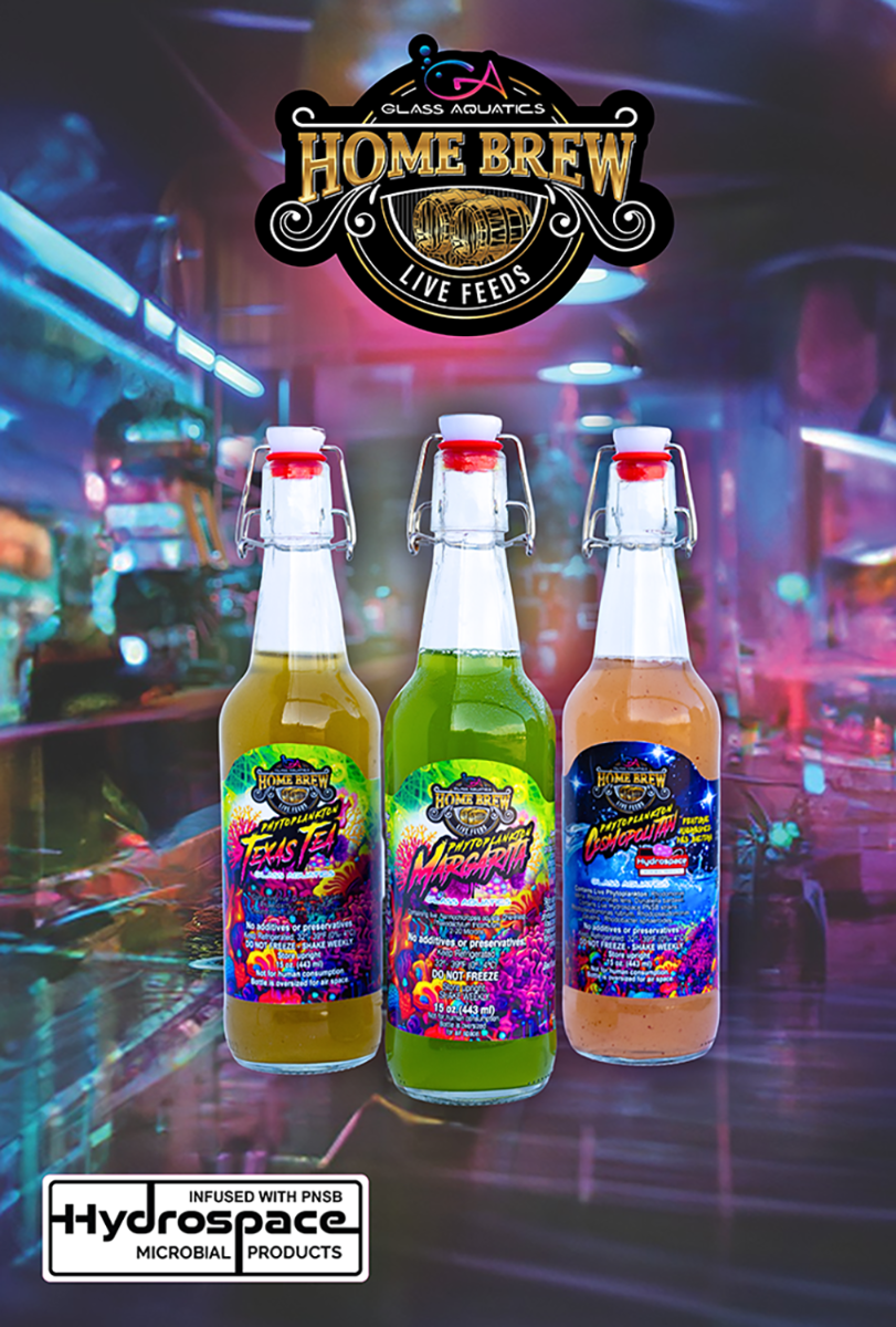 Home Brew Margarita Phytoplankton 15oz