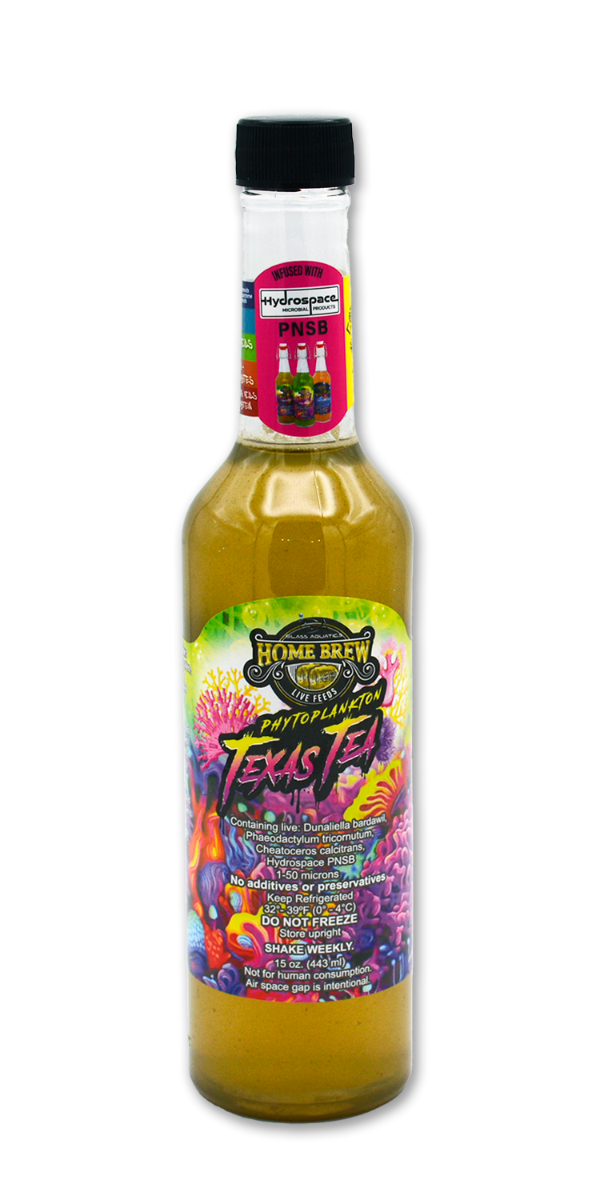 Home Brew Texas Tea Phytoplankton 15oz