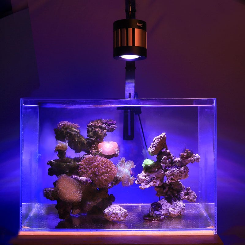 Hygger Saltwater Aquarium Light