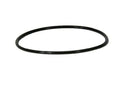 Iwaki 100 O-Ring MD0145