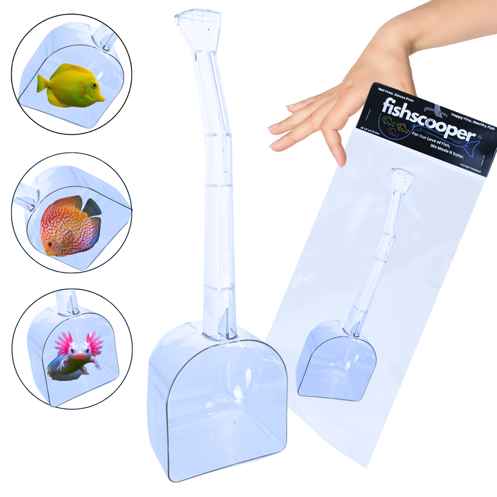 FishScooper