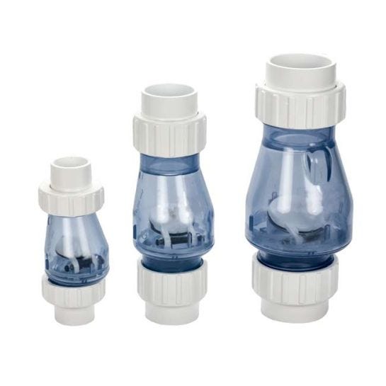 Clear PVC True Union Check Valve 2"