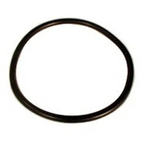 Lifegard Replacement O-Ring for QL and AF Caps #220001
