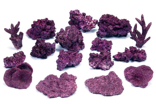 Real Reef Mix Reef Box - 16-18 pcs