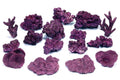 Real Reef Mix Reef Box - 16-18 pcs