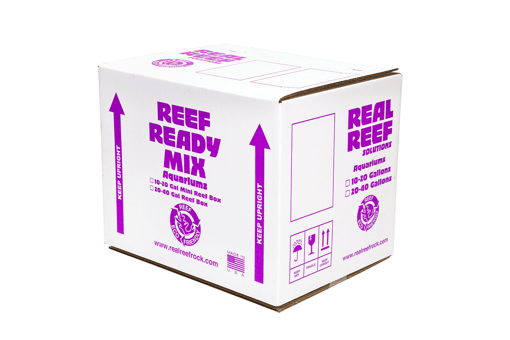 Real Reef Mini Reef Box - 12-14 pcs