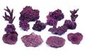 Real Reef Mini Reef Box - 12-14 pcs