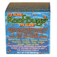 /images/reefbugs2.jpg