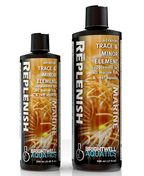 /images/replenish_lrg_4.png