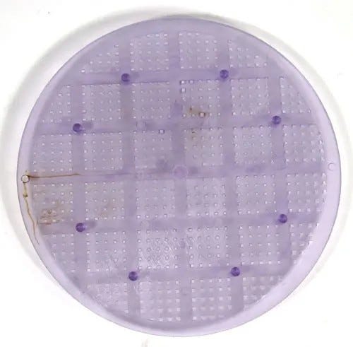 Nu-Clear Media Grid