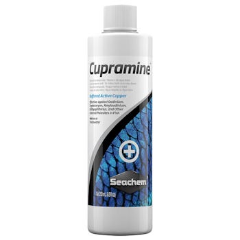 Seachem Focus 5 gm 