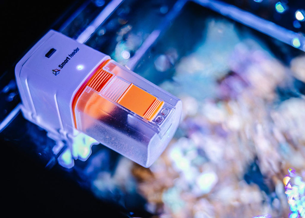 Reef Factory Smart Feeder
