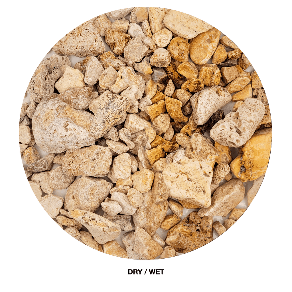 WIO Gravel - White Adder