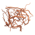 WIO Roots-Twisted