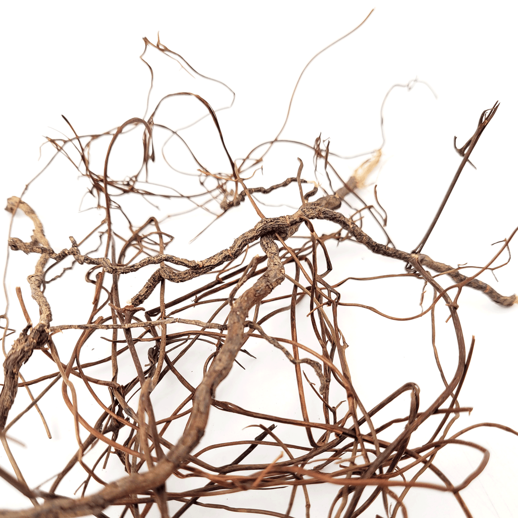 WIO Roots-Mini