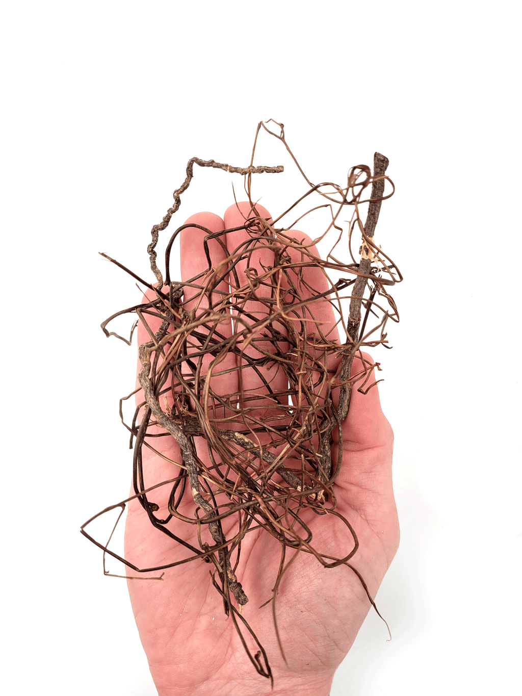 WIO Roots-Mini