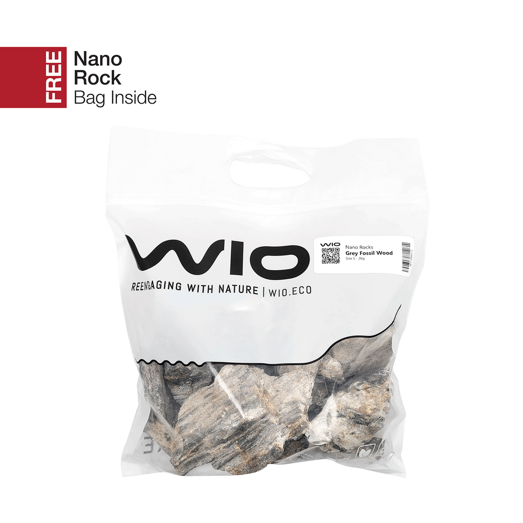 WIO Stone - Grey Fossil Wood