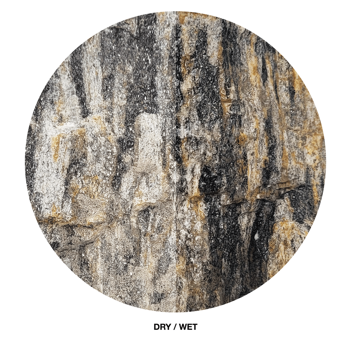 WIO Stone - Grey Fossil Wood