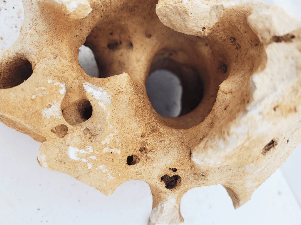 WIO Stone - Hole*