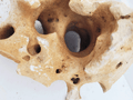 WIO Stone - Hole*