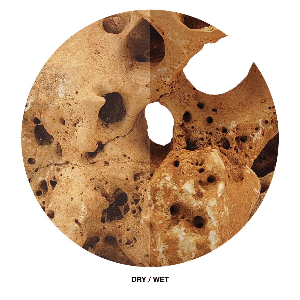 WIO Stone - Hole*