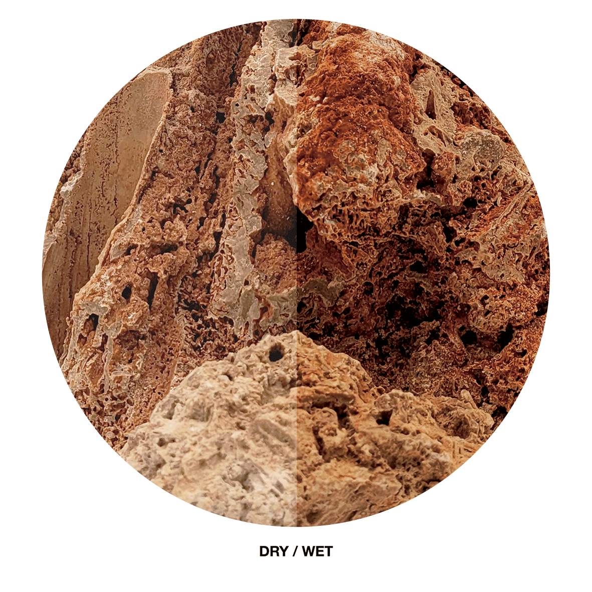 WIO Stone - Paleorock