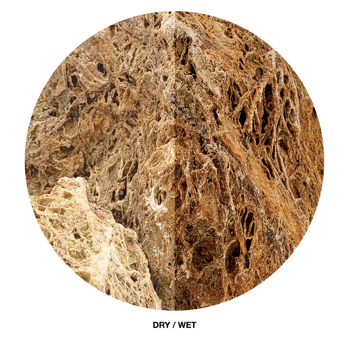 WIO Stone - Web*
