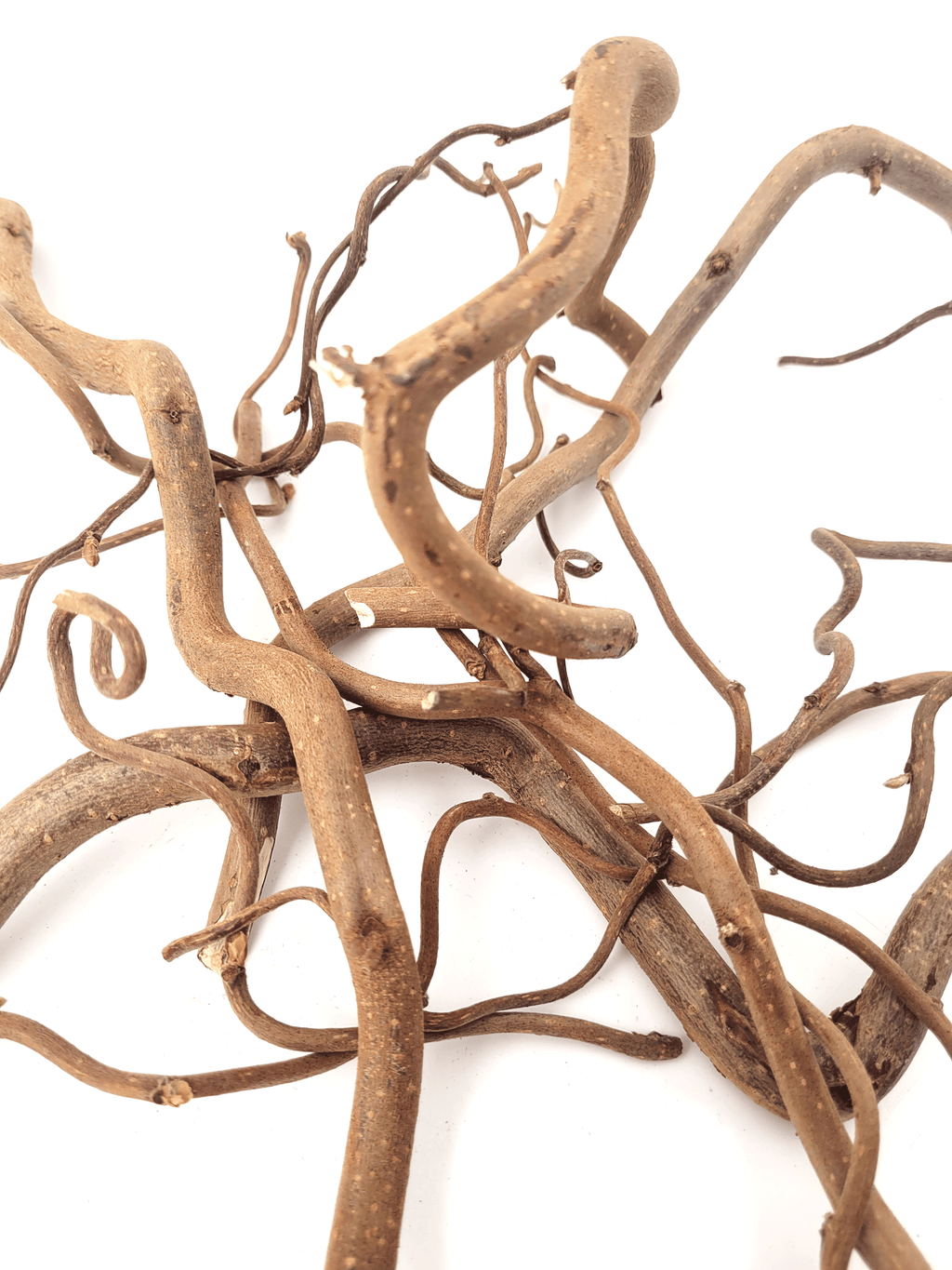 WIO Roots-Twisted