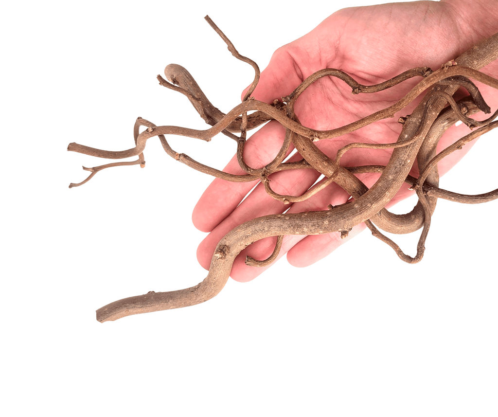 WIO Roots-Twisted